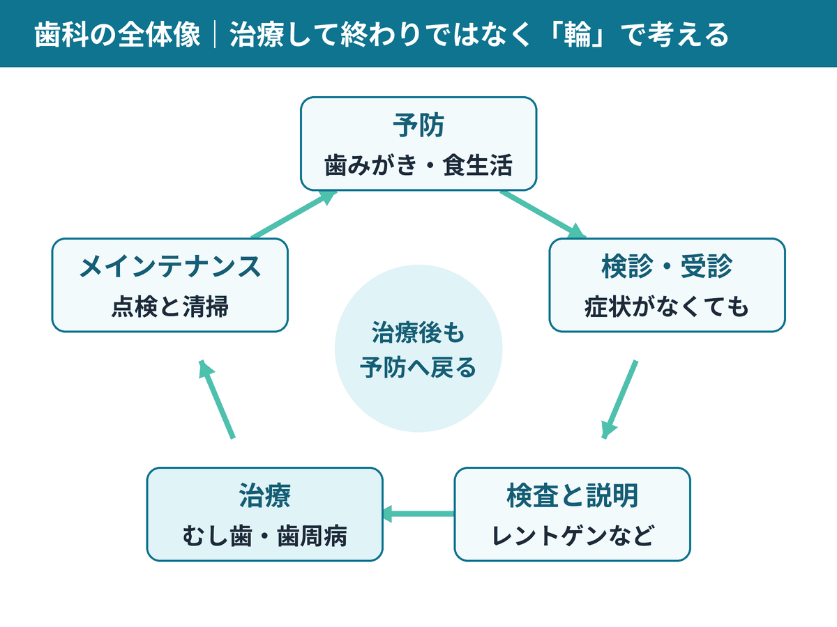 歯科の全体像。予防、検診・受診、検査と説明、治療、メインテナンスが輪になってつながる図